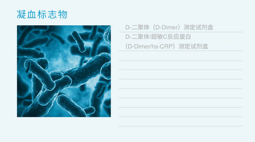 铁算算盘490777