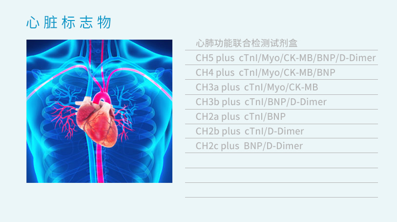 铁算算盘490777