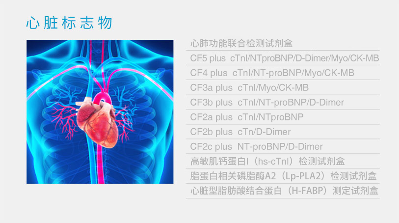 铁算算盘490777