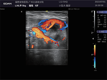 铁算算盘490777